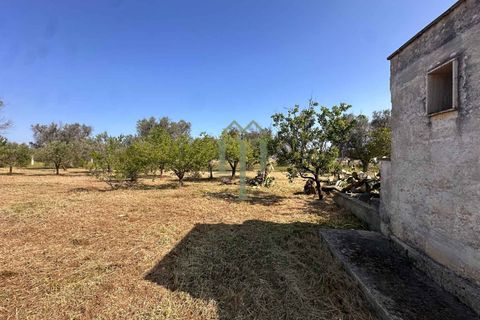 Ruin i Brindisi, Brindisi, Brindisi - € 34 000 | Ref: Lamia Melograno - foto 20